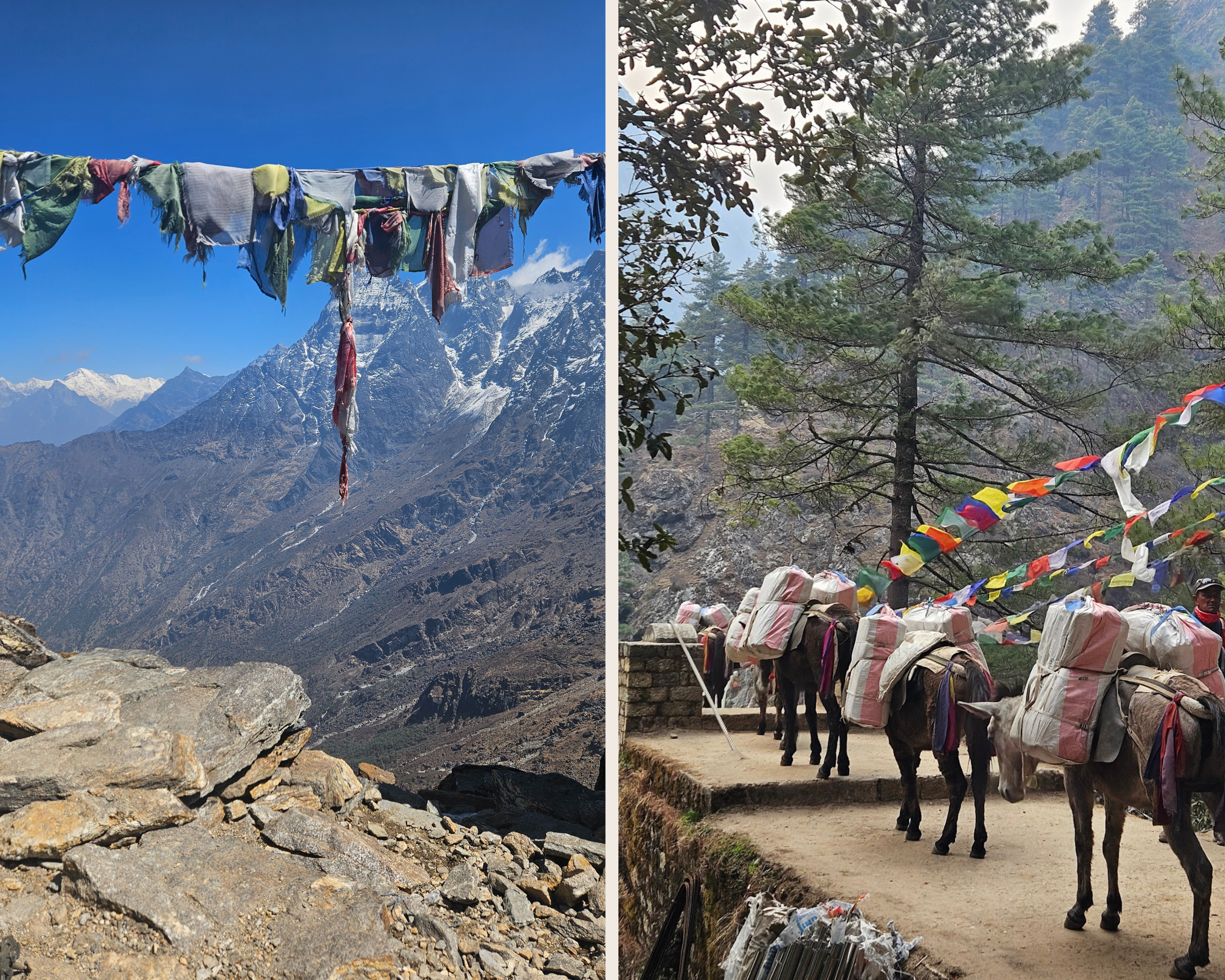 Yüksek dağların arka planda olduğu ve renkli dua bayraklarının gergin bir şekilde asılı olduğu muhteşem manzara.