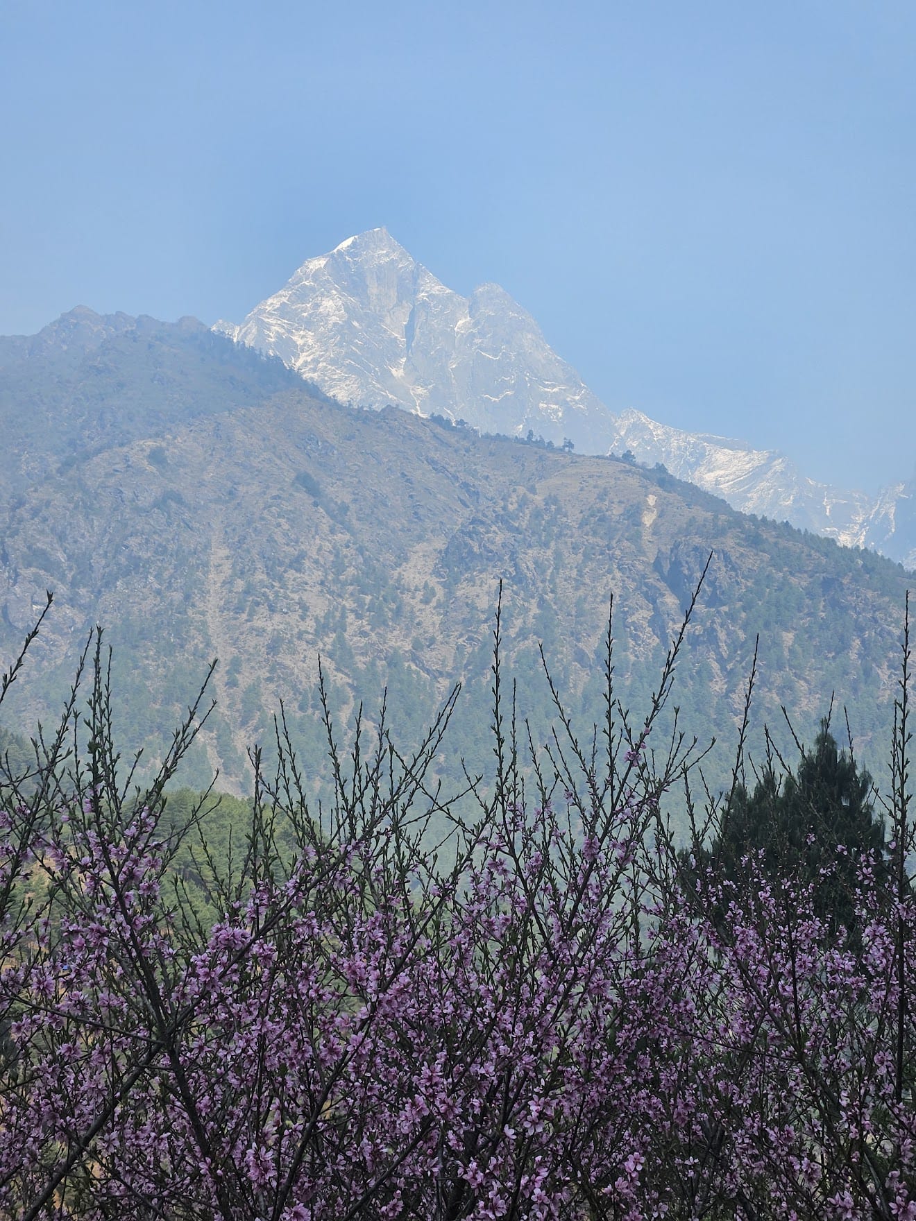 Everest base camp yürüyüş yolu üzerinde dağ ve çiçeklerin görünümü