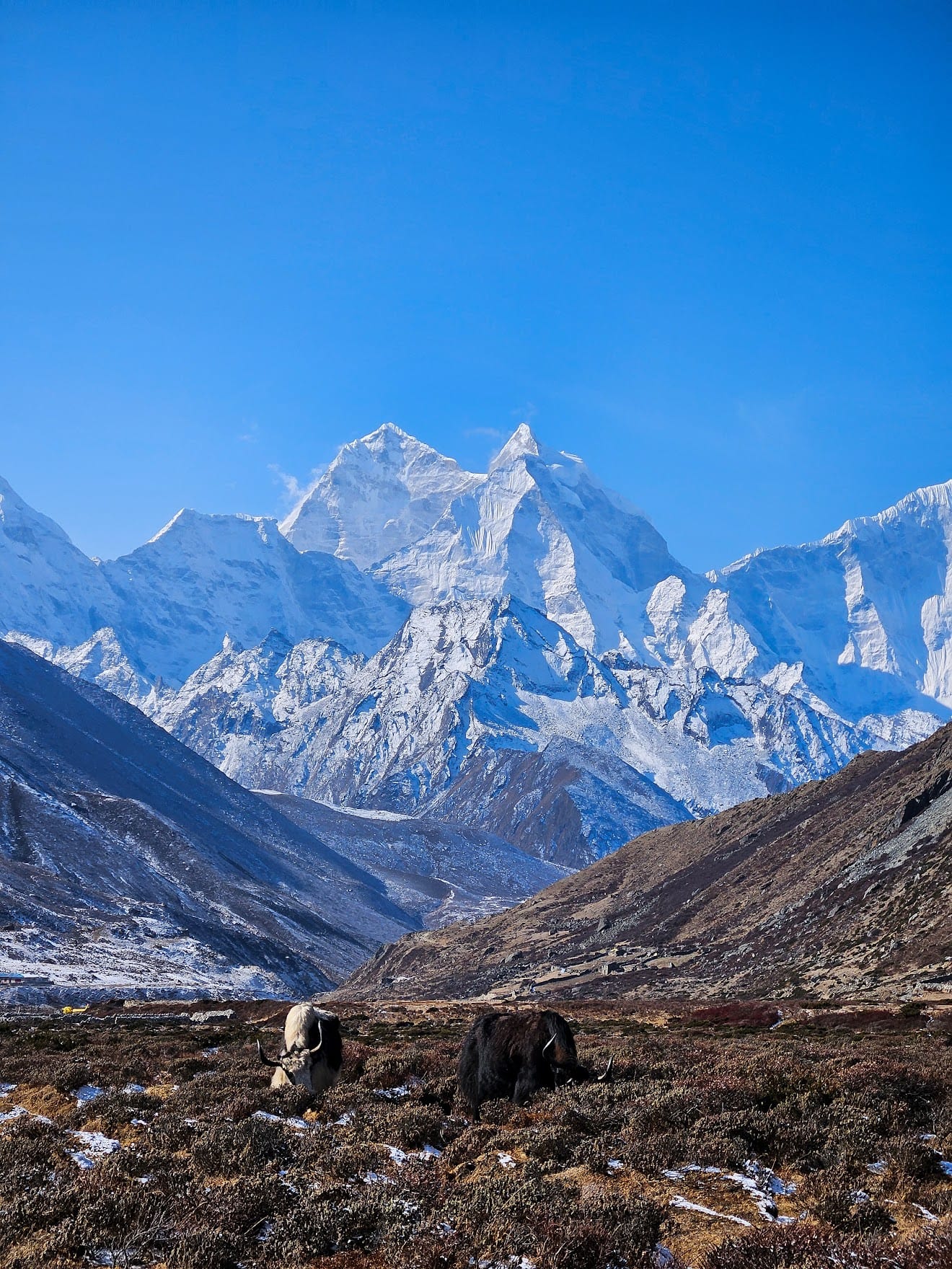 Everest Base Camp Yürüyüş Rehberi