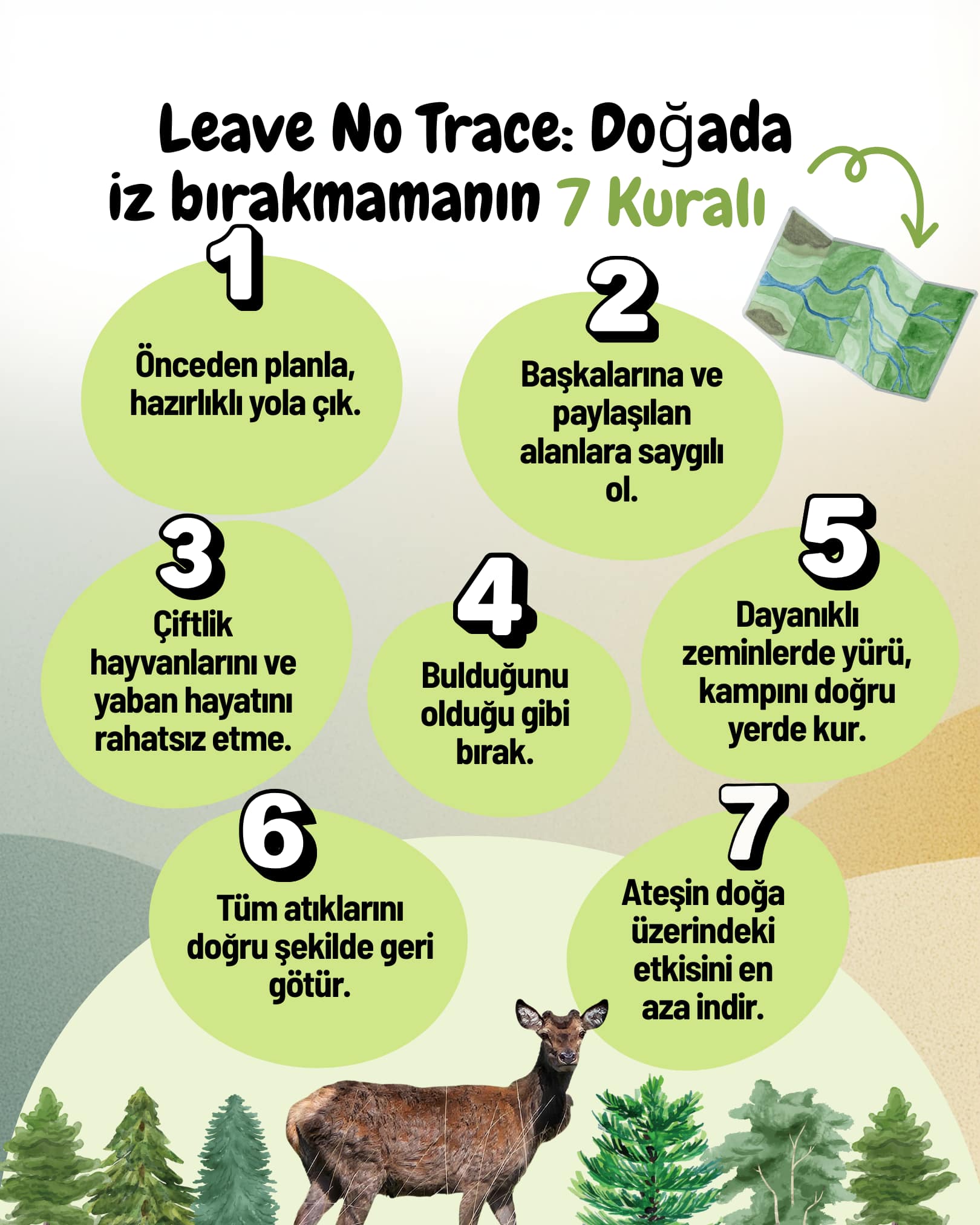 Leave No Trace: Doğada İz Bırakmamanın 7 Kuralı
