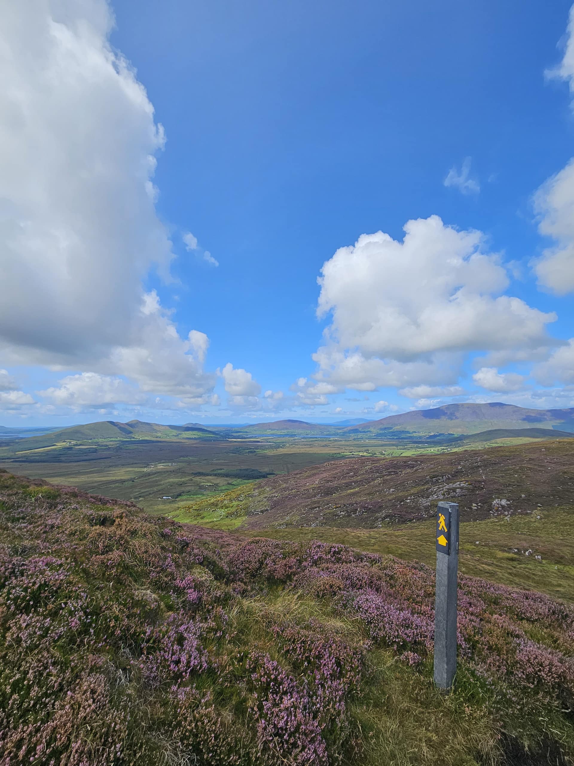 In a vast natural landscape, a hiking route sign appears among purple flowers and green fields, blue sky and white clouds.