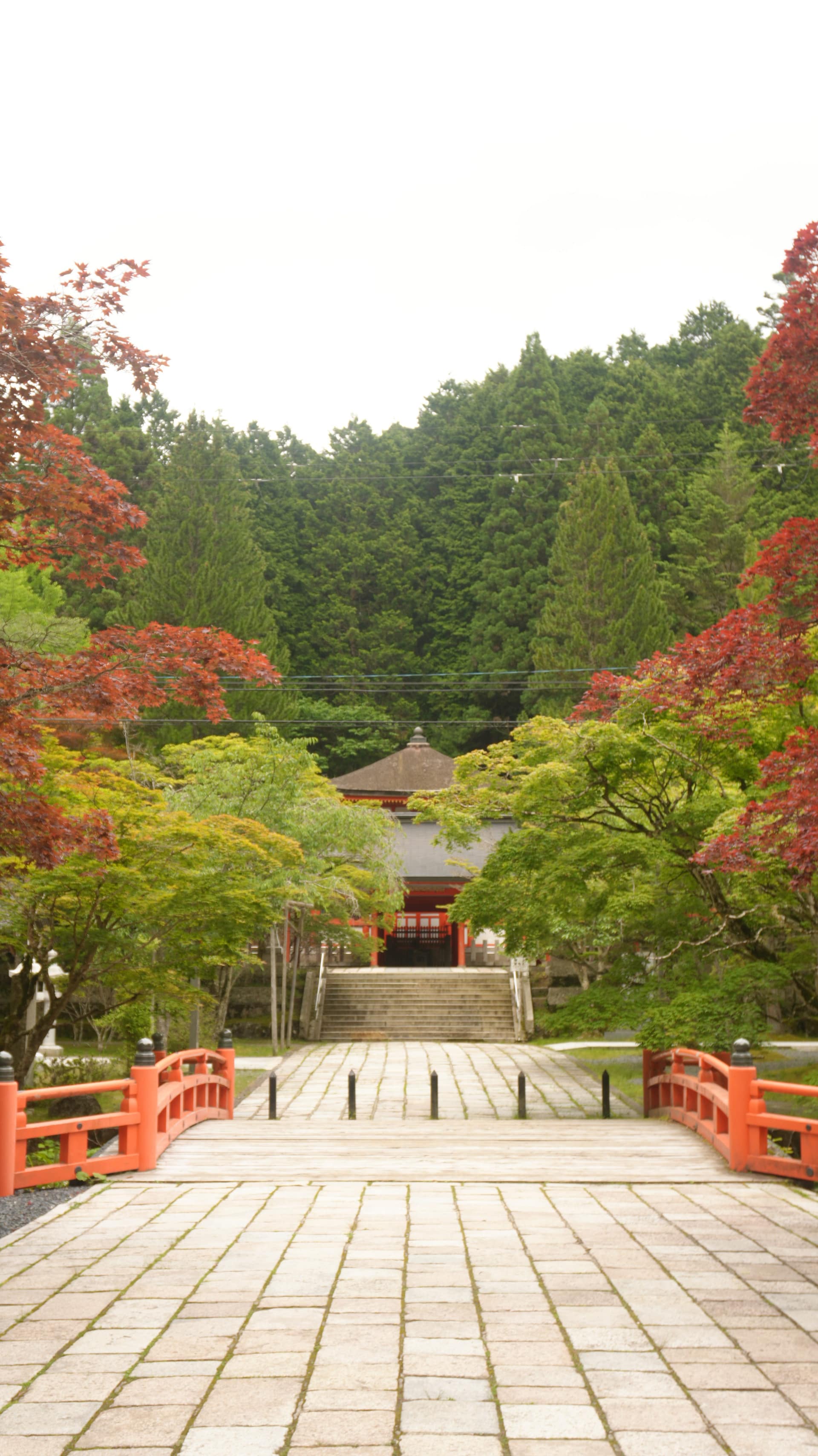 Japonya’da Tapınakta Konaklamak: Koyasan Shukubo Deneyimi
