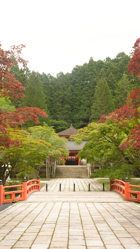 Japonya’da Tapınakta Konaklamak: Koyasan Shukubo Deneyimi