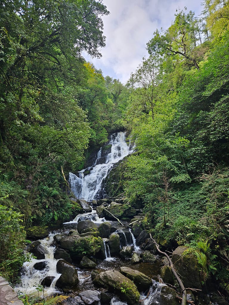 The green forest surrounding Torc Waterfall. The waterfall's water cascades over rocks, while the surrounding trees and plants offer a lush green backdrop.
