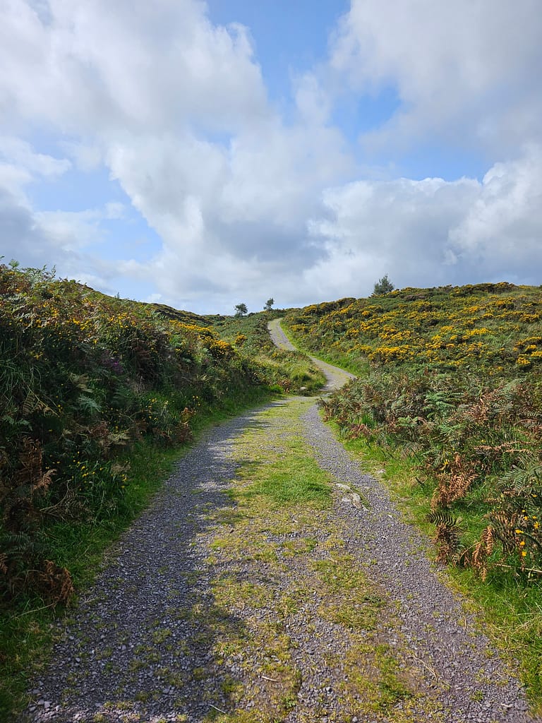 The Kerry Way walking path winds through green meadows.