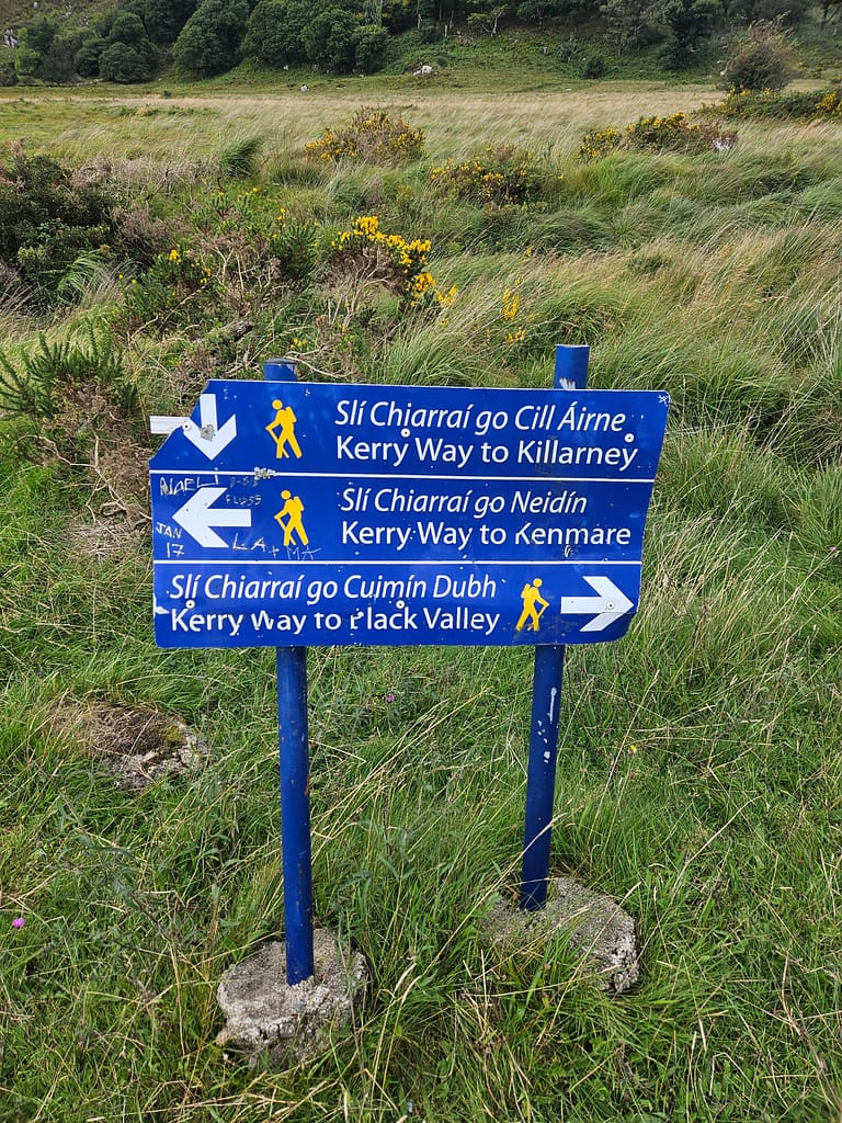 View of the sign directing towards Kerry Road within the green area.