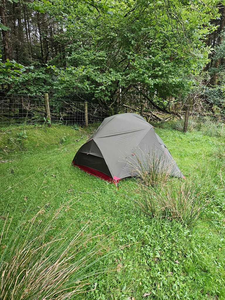A tent is set up in a forest, surrounded by green grass and trees.