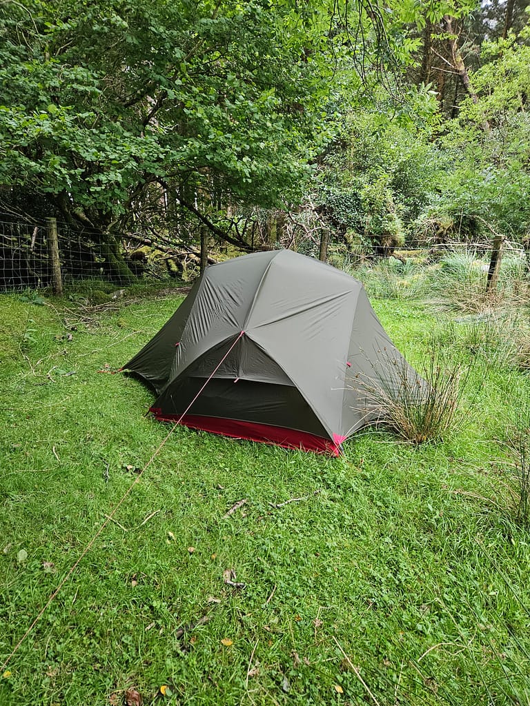 A gray camping tent is set up in a forest area, nestled among green grass and trees.