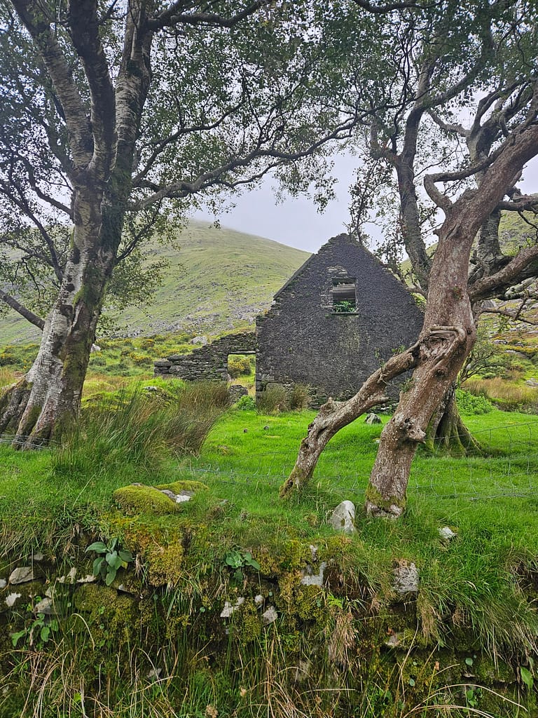 The ruins of an old, ruined house, in front of which is a nature landscape surrounded by green grass and trees.