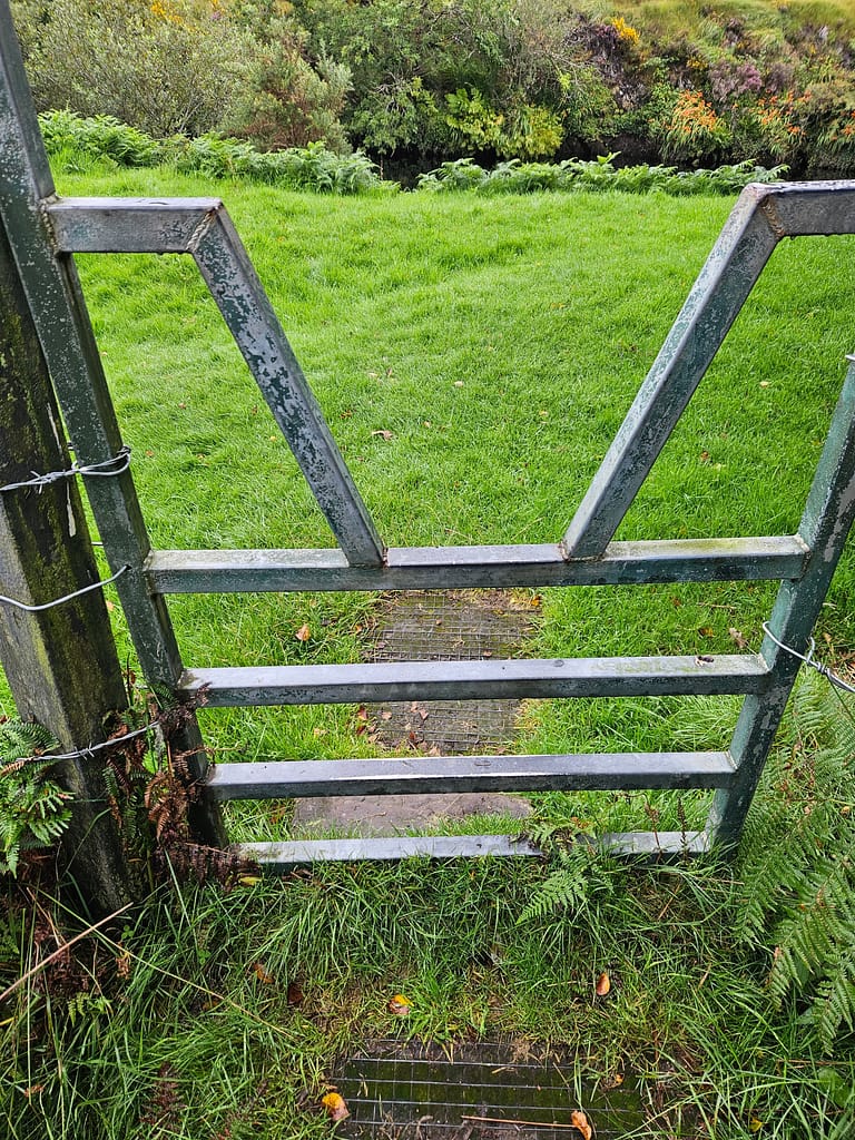 A metal gate at the edge of an open field displays green grass and various plants in the background.
