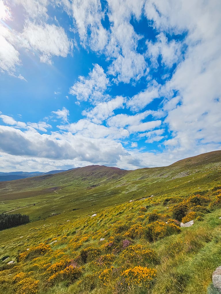 A natural landscape with a wide, green mountain valley view, blue sky and white clouds.