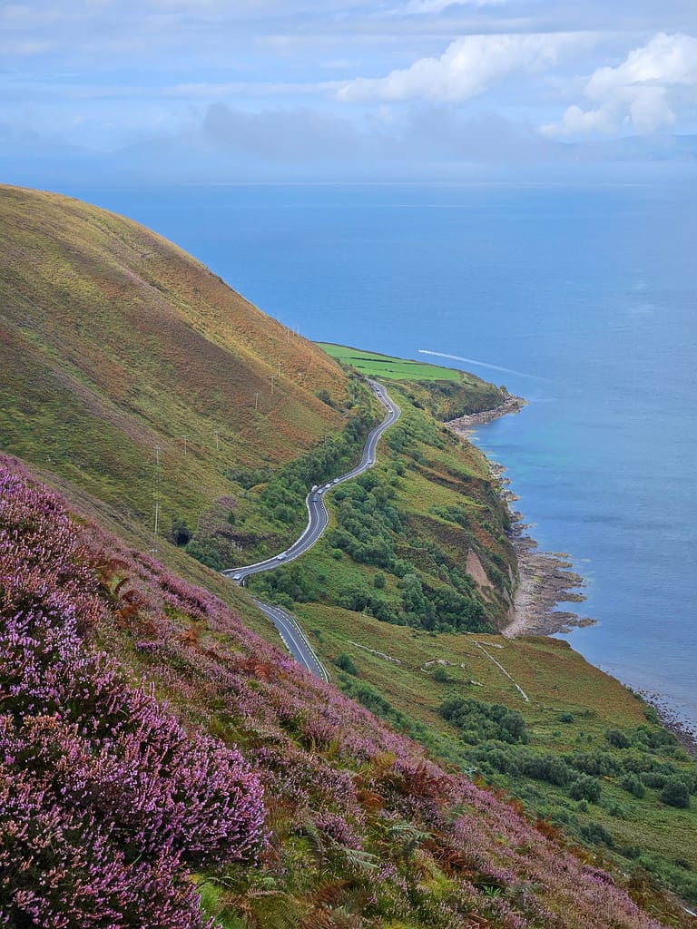 A view looking down from the top of a mountain, a road with purple flowers along the edges and a view of the sea.