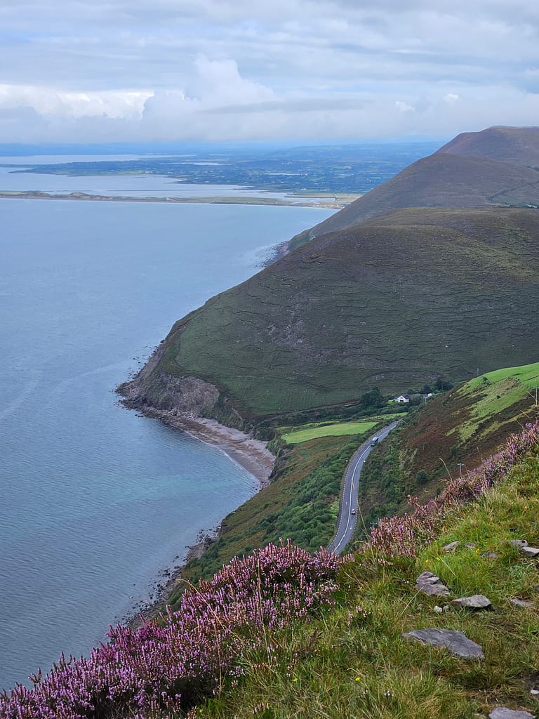 A view of green slopes and the sea, with purple flowers and a mountain road in the foreground.