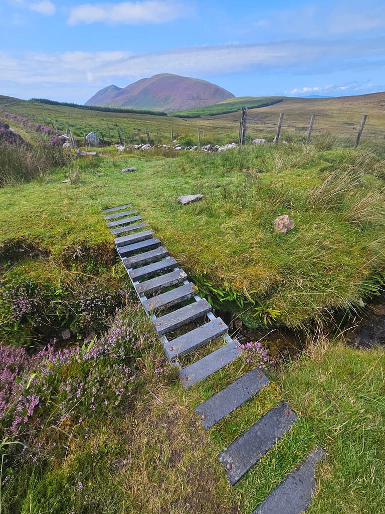 A short passage with stones on it is seen in a green area and a slightly mountainous landscape is seen in the background.