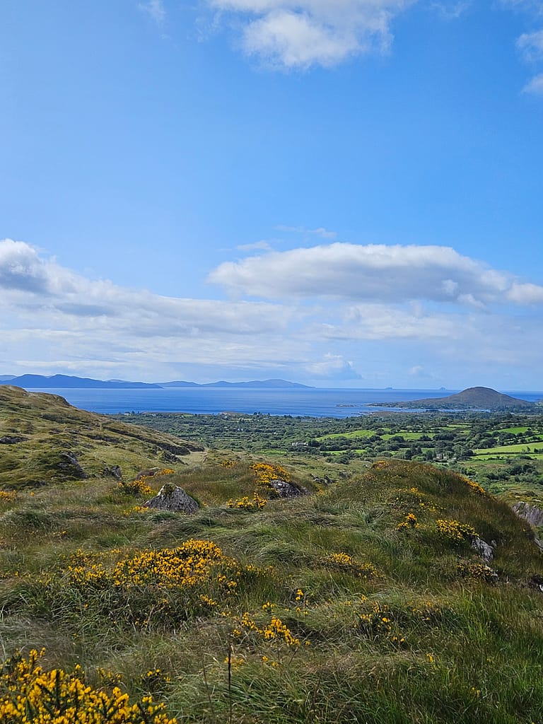 The landscape of Ireland's green hills meets the sea in the distance, offering a natural beauty with yellow flowers and blue skies.