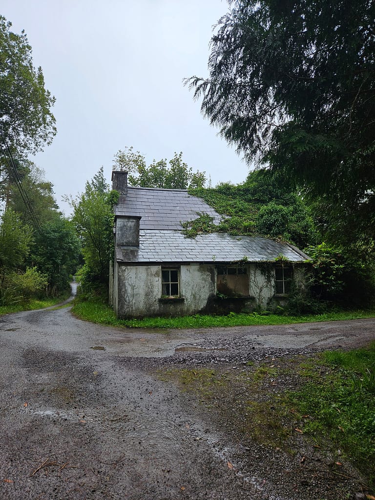 Image of an old abandoned house with green nature around it.