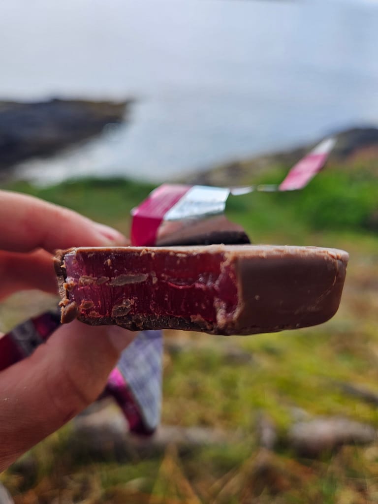 A close-up shows a chocolate-covered snack held in a hand, with a field of water and green plants in the background.