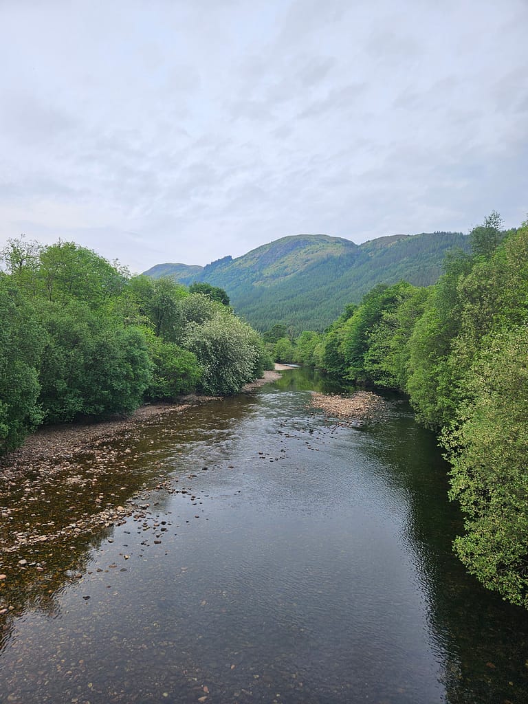 Veduta di un fiume circondato da alberi verdi, cielo nuvoloso e montagne sullo sfondo.