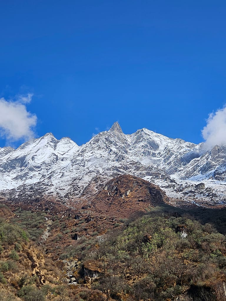 Buzullarla kaplı dağ zirvelerinin ve yeşil ağaçların ön planda olduğu bir doğal manzara.