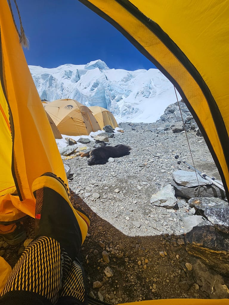 Himalayalar'da bir kamp alanının içinden çekilen görüntü, ön planda bir çift ayakkabı ve bir tane yatan hayvan var. Arkada sarı tenteler ve buzul oluşumları görünmekte.