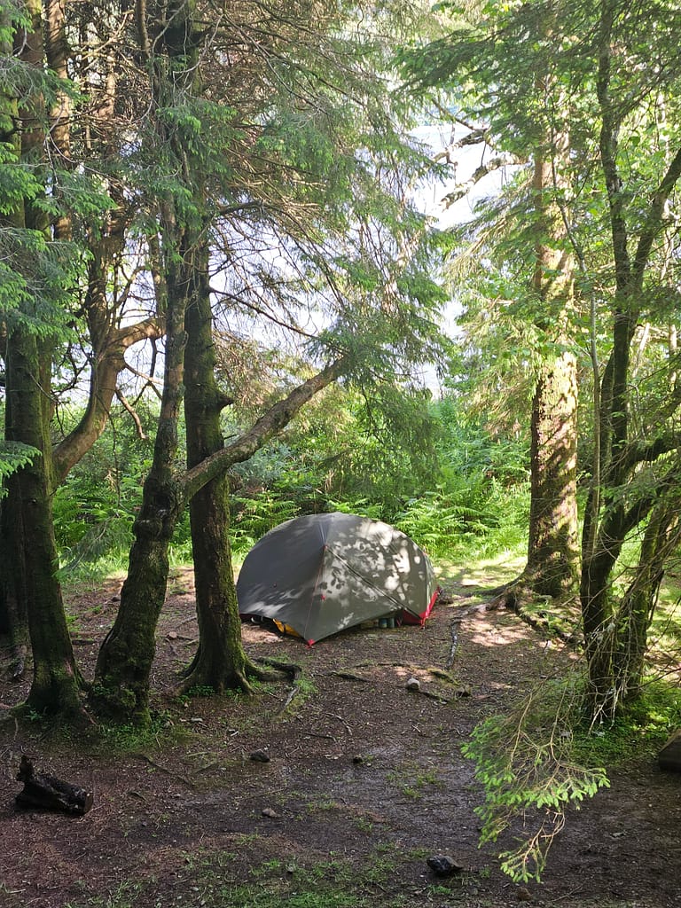 A camping tent set up among trees in a forest area. There is natural vegetation around the tent.