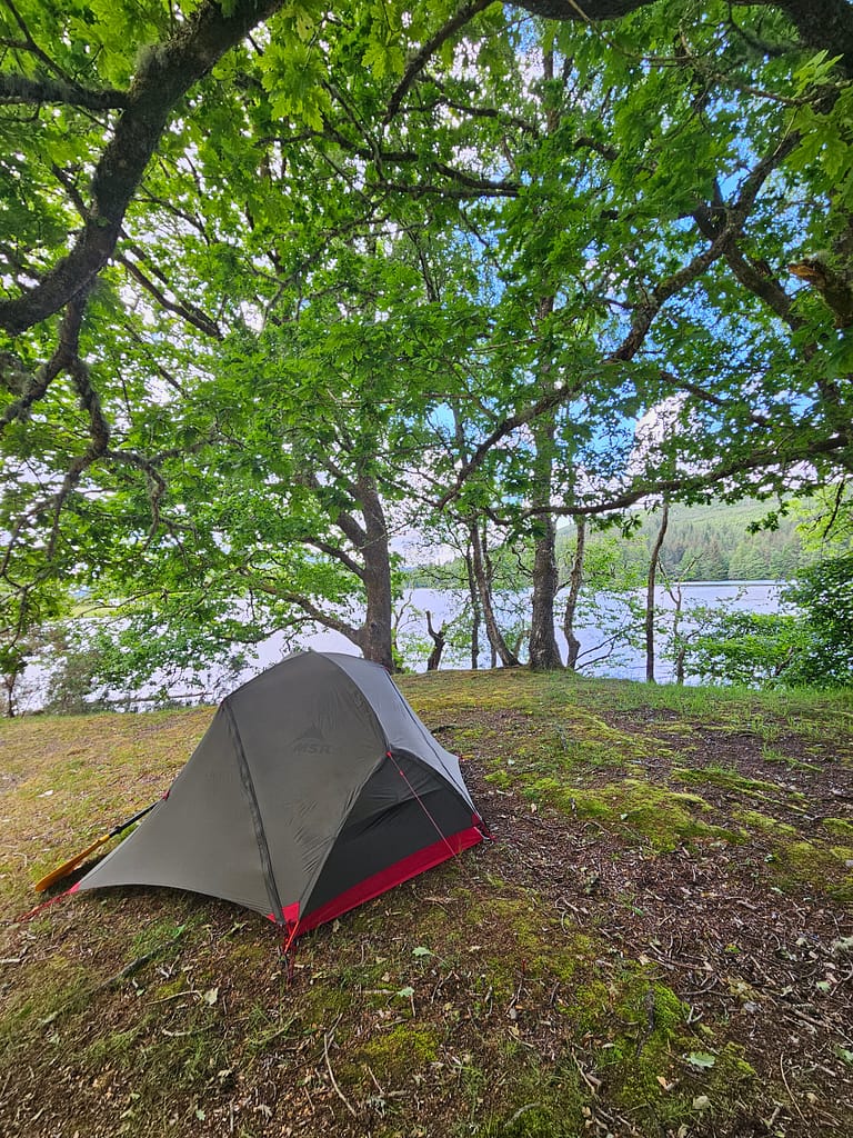 A tent set up by a lake, a peaceful camping area with green trees and blue sky around.