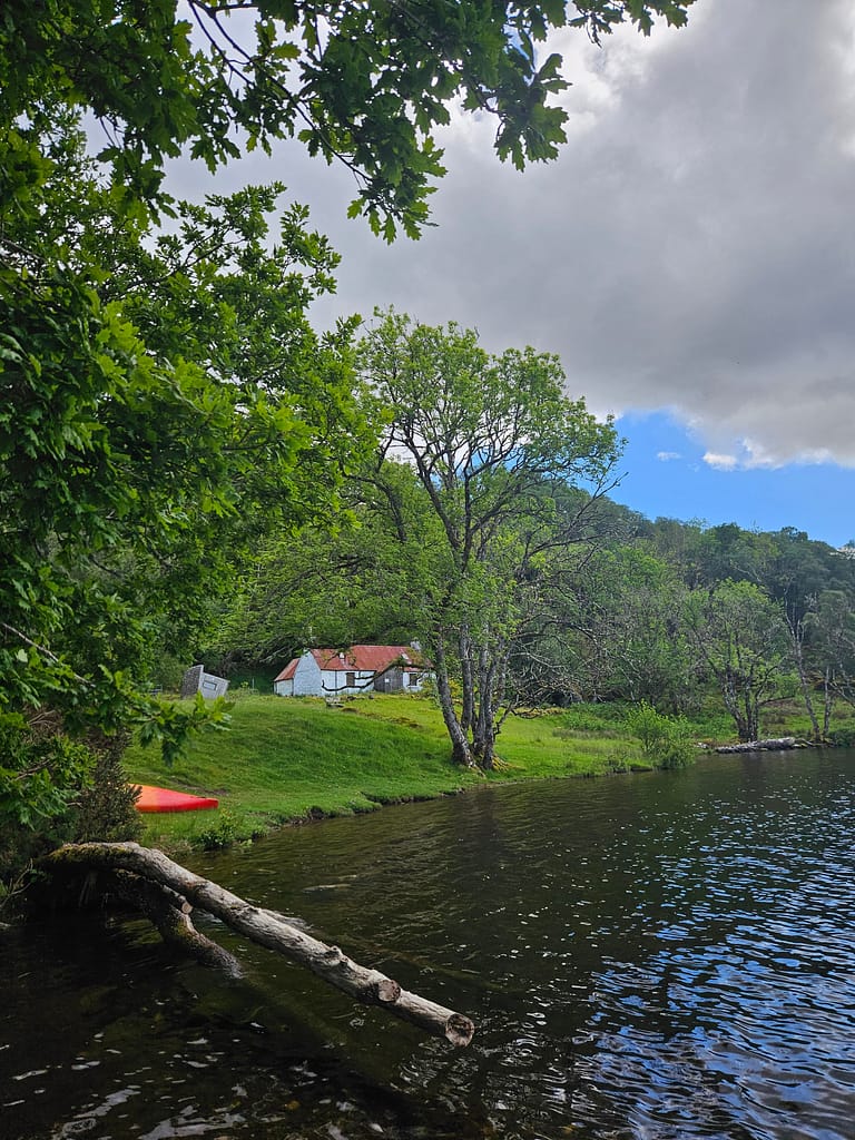 A lakeshore scene, with a field surrounded by green trees and a cottage in the distance, is visible. A branch and a red canoe are located at the edge of the lake.