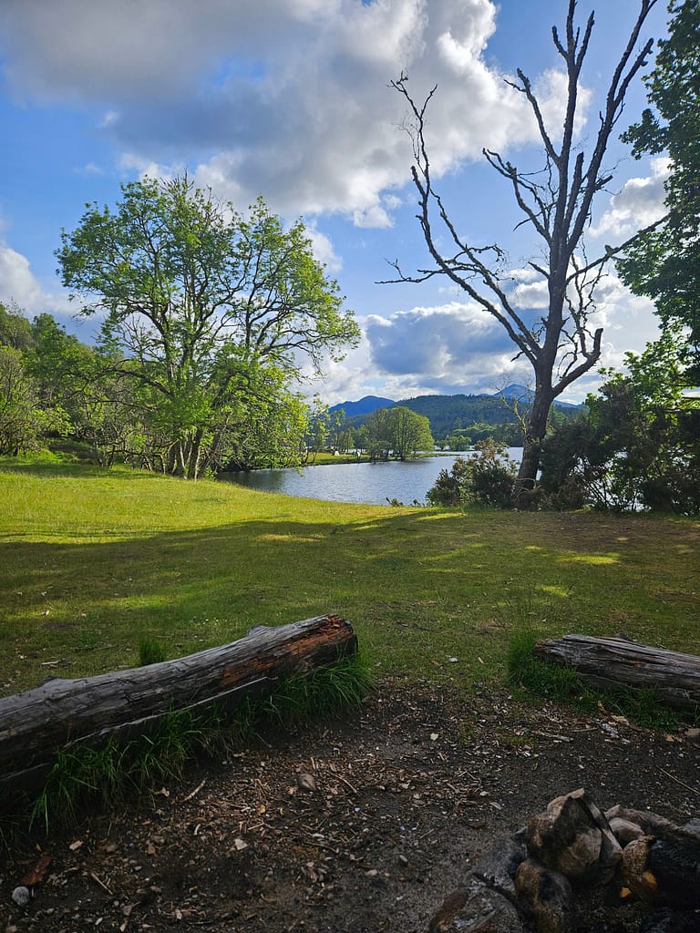 A natural area with a lake view, green trees, and clear blue sky. In the foreground, two tree branches lie on the ground that could be used as a seating area.