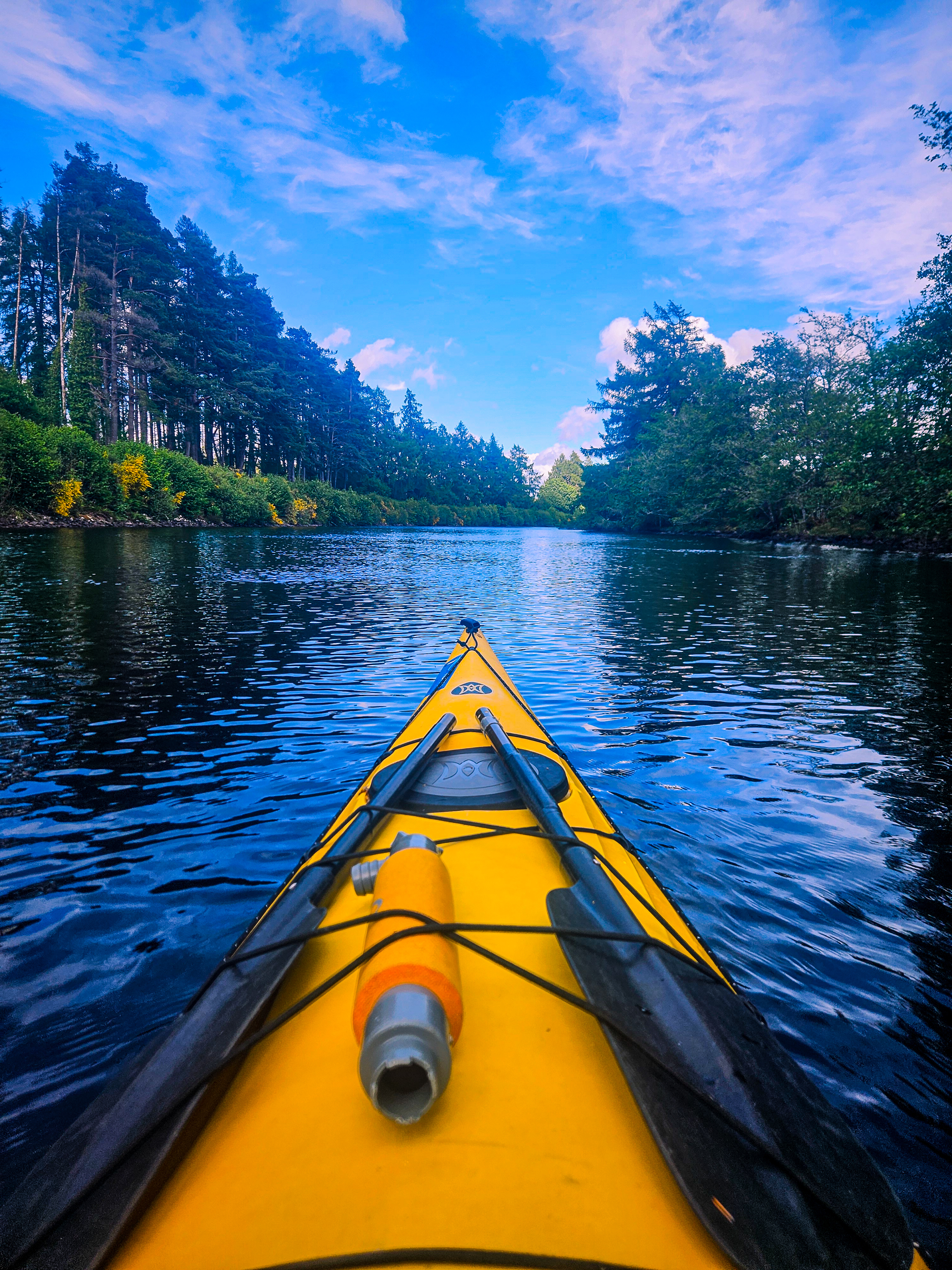 The image shows the front of a boat above water, with a forested area and blue sky in the background.