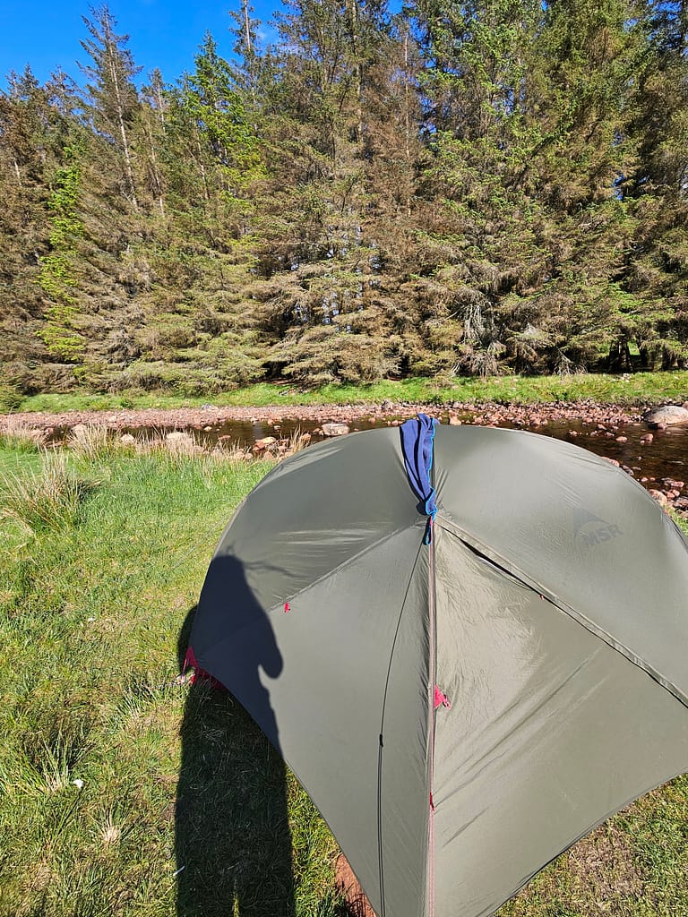 Bir çadırın doğal bir ortamda, ağaçların arasında yer aldığı bir kamp alanı görünümü.