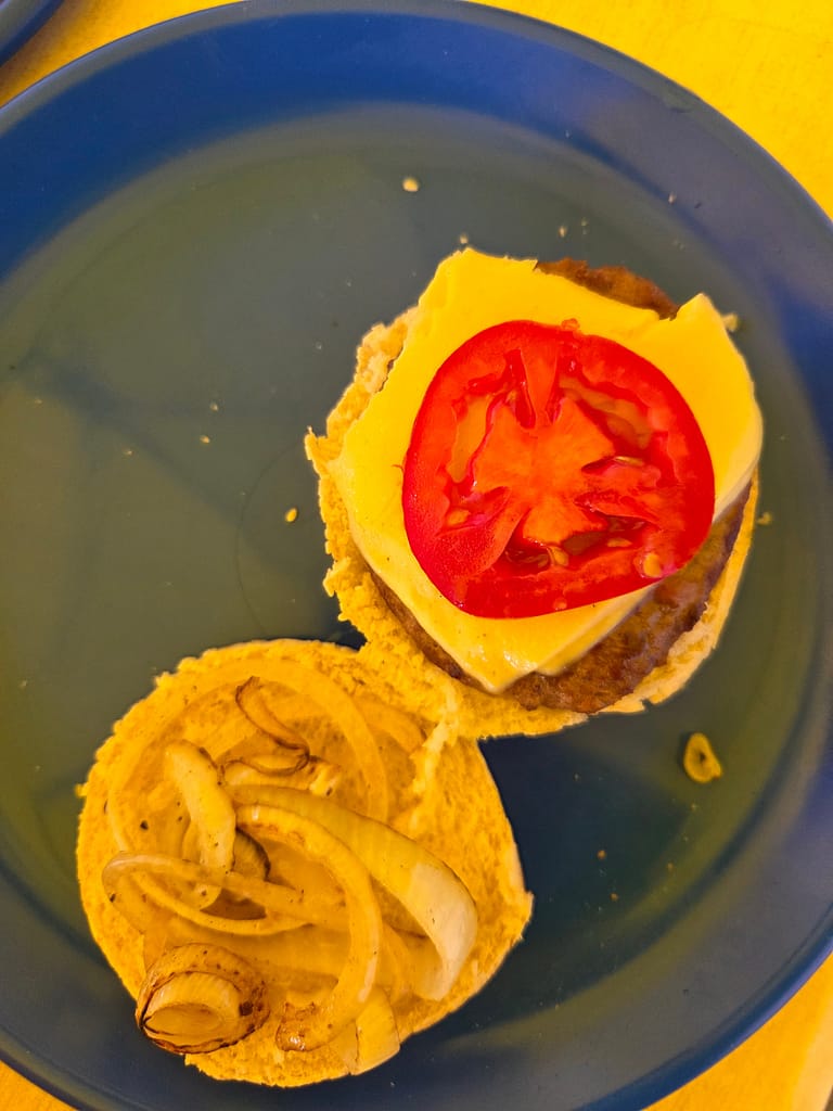 Bir tabak içinde bir hamburger ekmeği, üstte dilimlenmiş domates ve peynir, altta ise soğan dilimleri yer almakta.